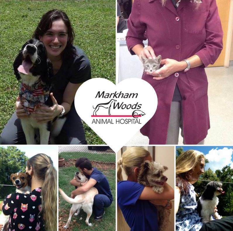 Markham Woods Animal Hospital: Top Rated Longwood Veterinarians Markham Woods Animal Hospital: Top Rated Longwood Veterinarians