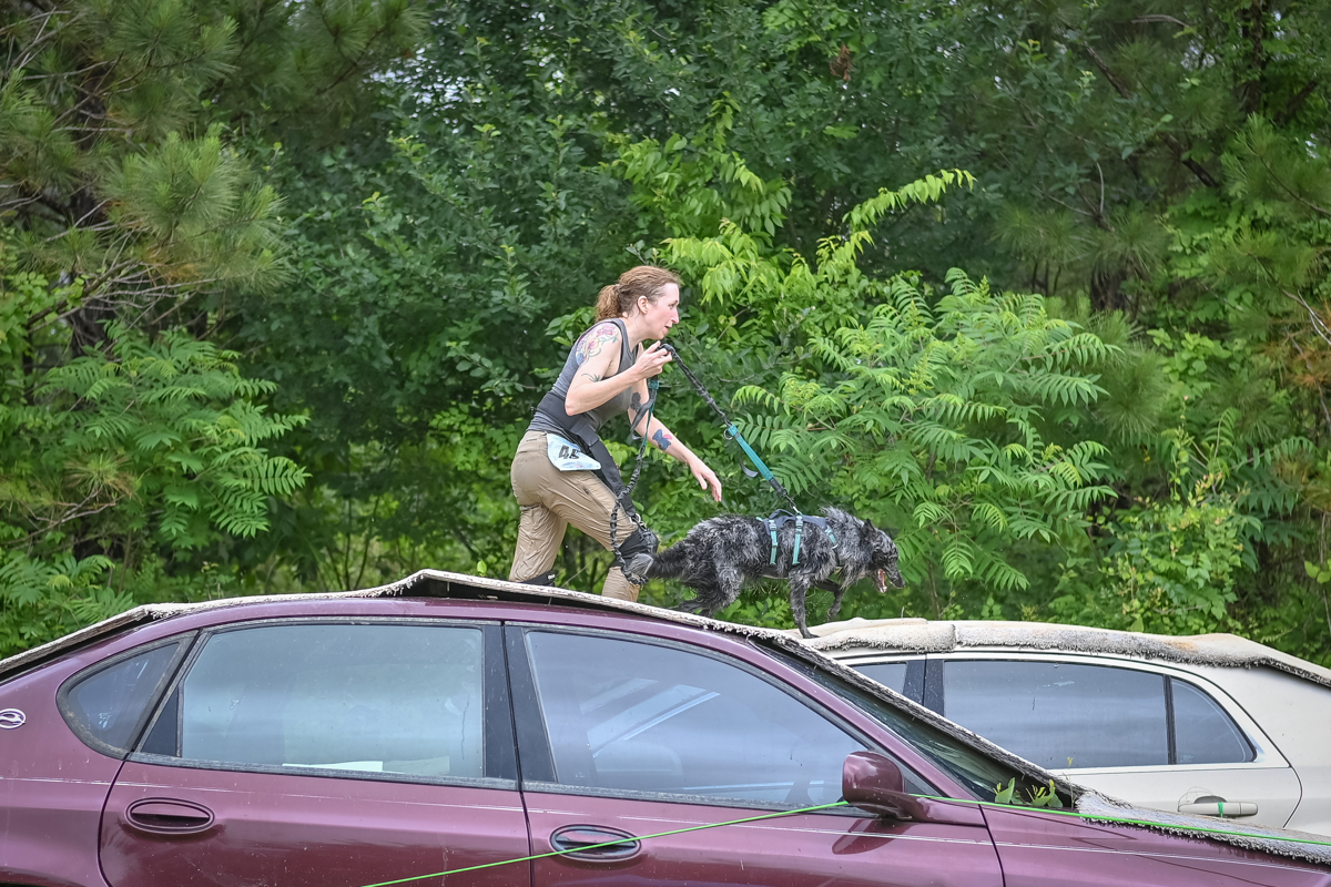 Dr.c and grim running over a vehicle