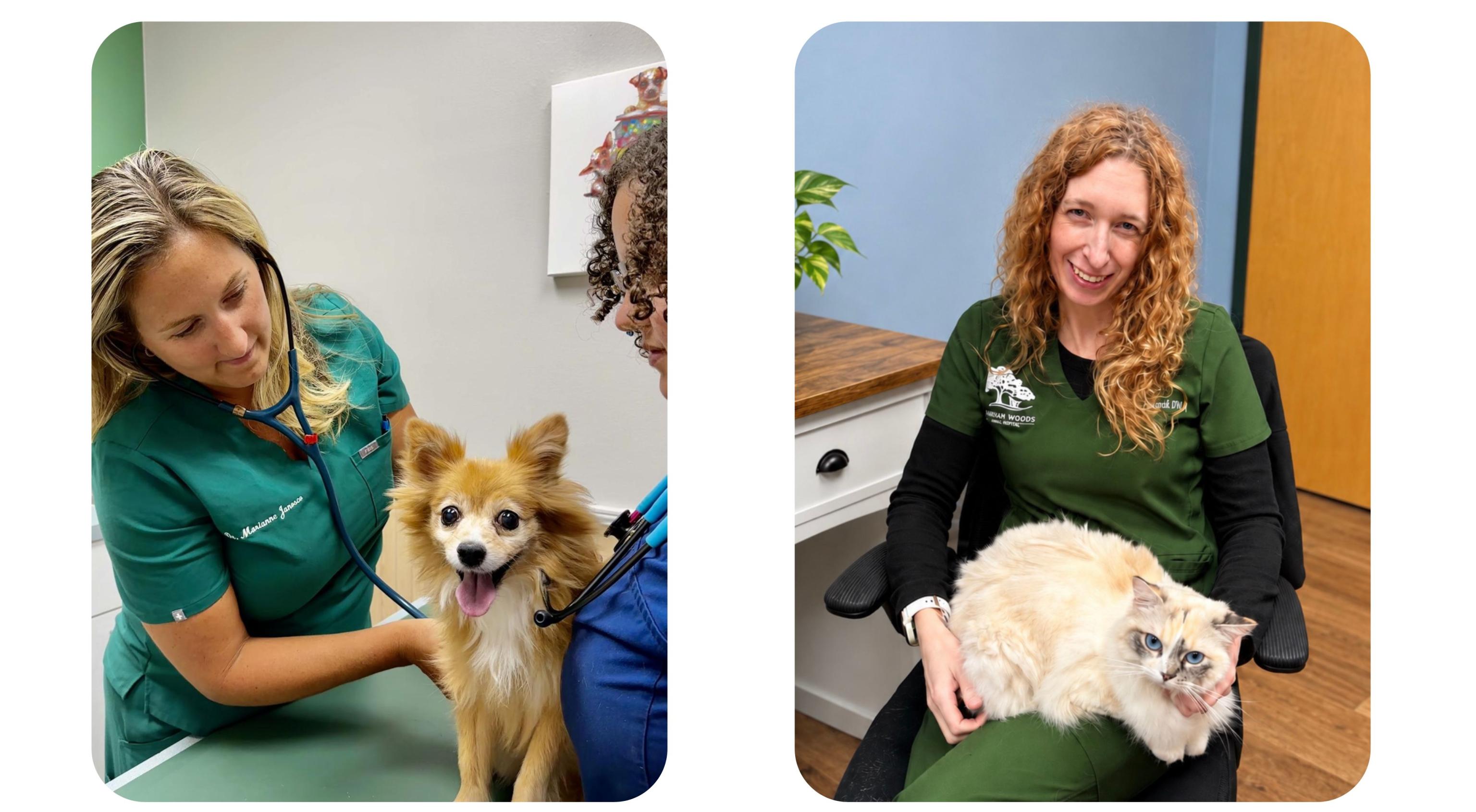 Drs at Markham Woods Animal Hospital