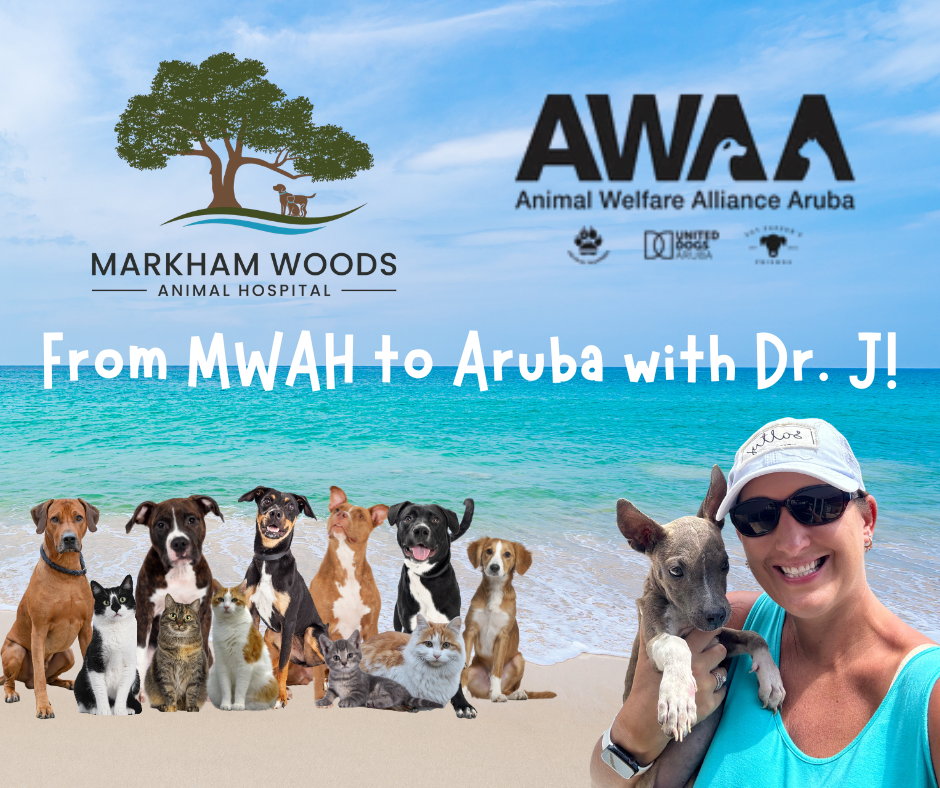 Dr. J mission trip to Aruba