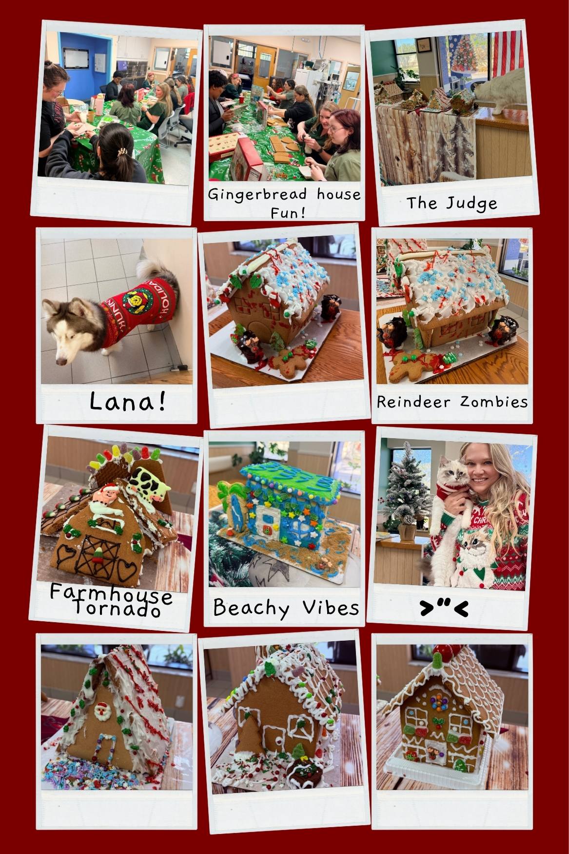 Gingerbread House Contest 2025 | Markham Woods Animal Hospital