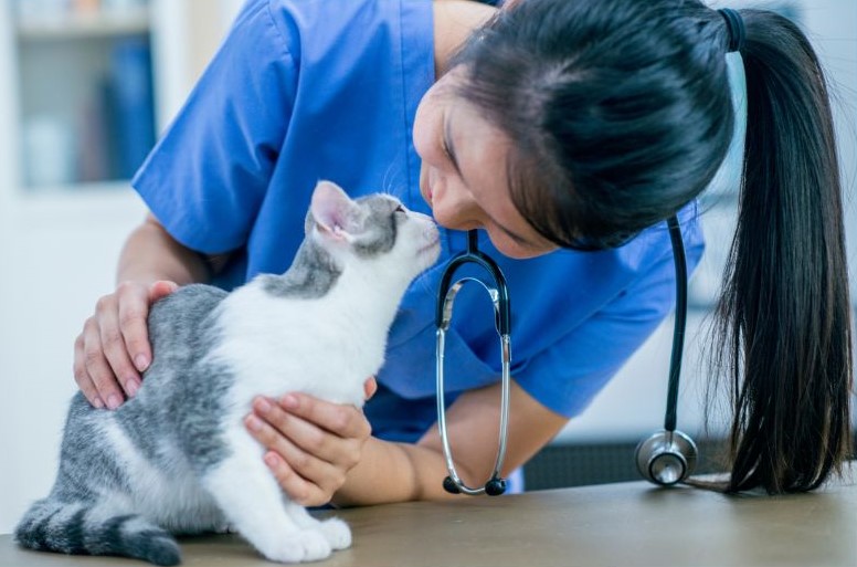 vet tech