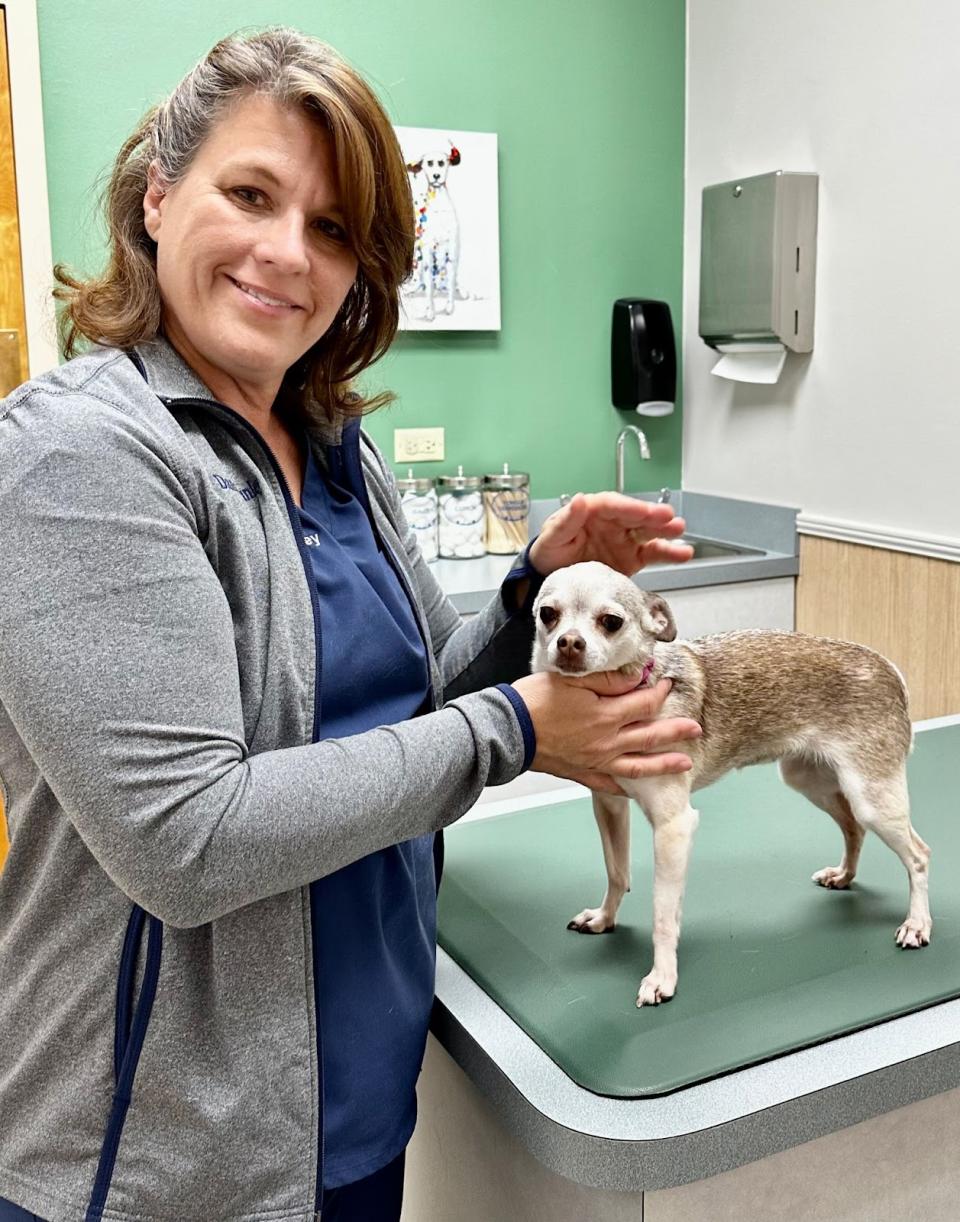 Adult Dog Care