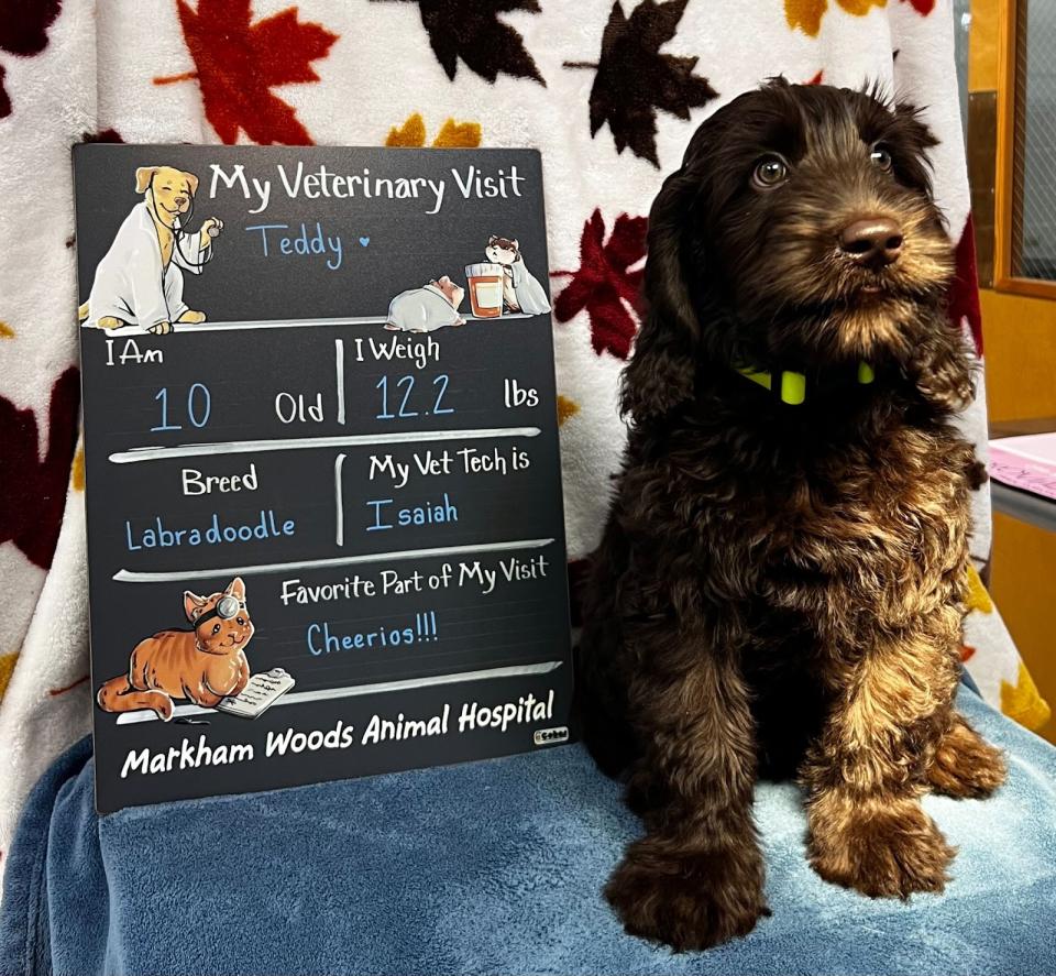 Puppy Care