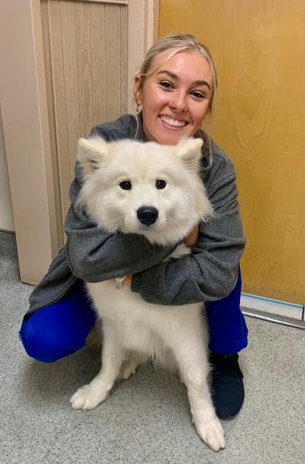 Markham Woods Animal Hospital