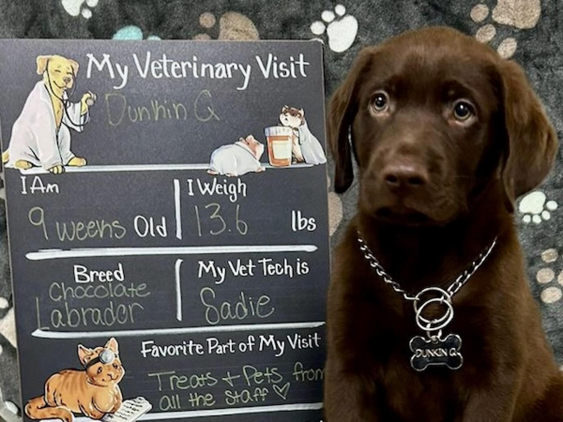 Home Gallery 2 Markham Woods Animal Hospital