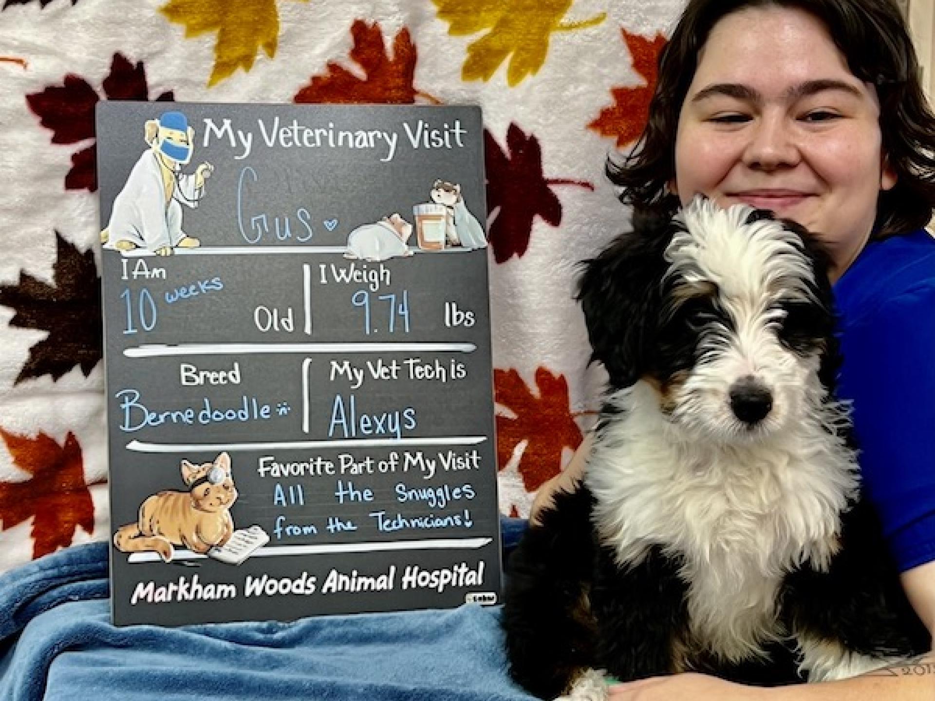 Home Gallery 6 Markham Woods Animal Hospital