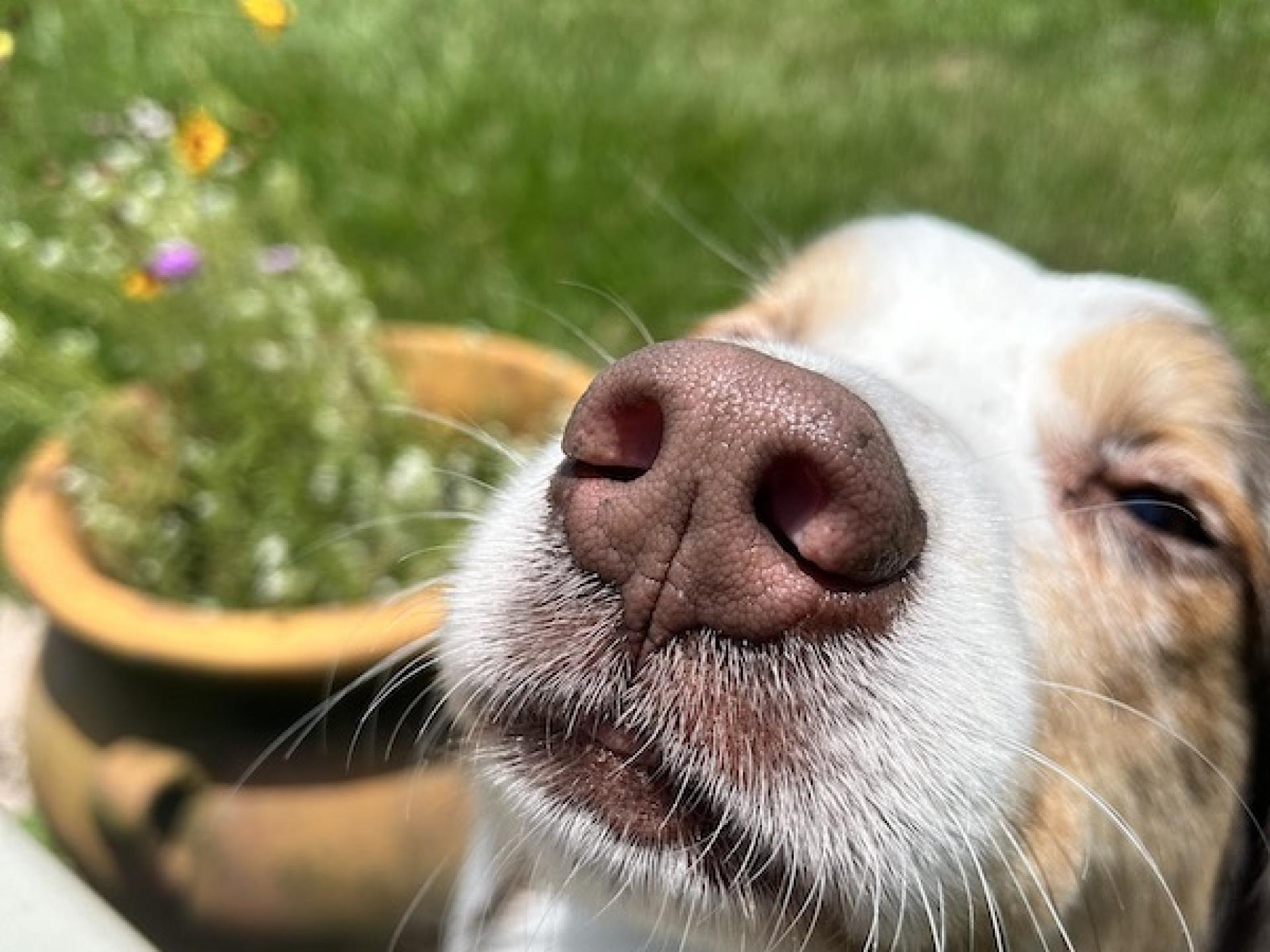 Home Gallery 8 Markham Woods Animal Hospital