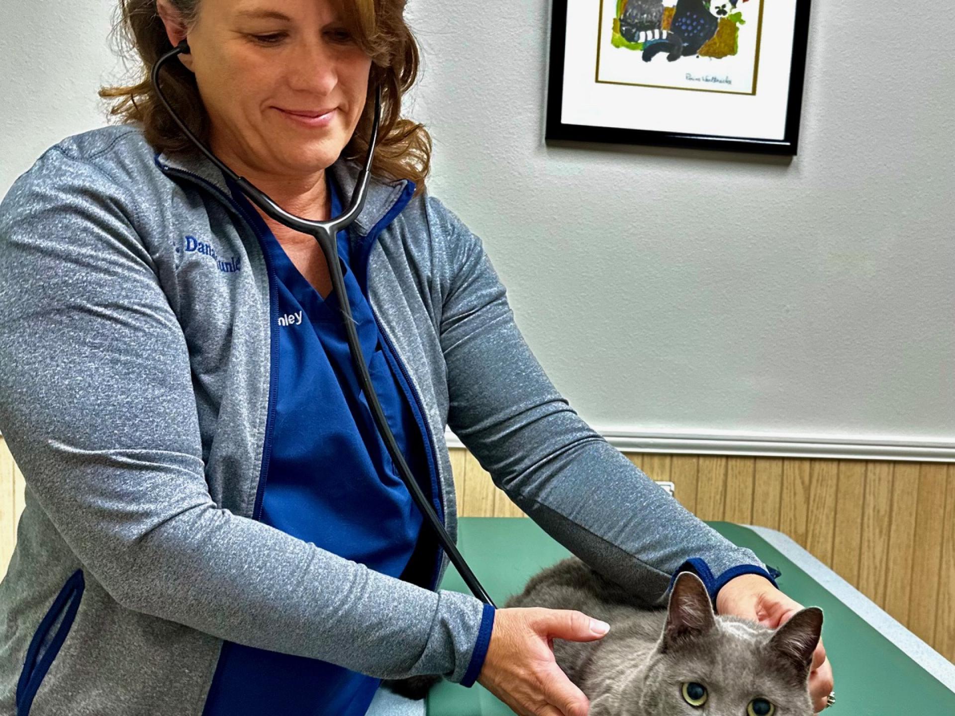 Home Gallery 12 Markham Woods Animal Hospital