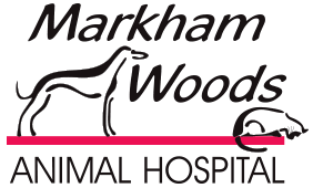 Markham Woods Animal Hospital: Top Rated Longwood Veterinarians Markham Woods Animal Hospital: Top Rated Longwood Veterinarians